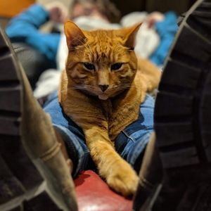 Meet your Posher, Kate